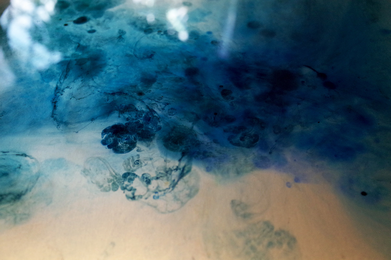 star sapphire marble image-muska