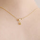 Diamond Fish Necklace