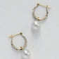 Ivy Akoya Pearl  Earrings